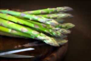 photo Repas des asperges