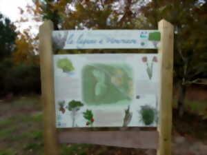 photo Balade découverte de la lagune d'Hournaou