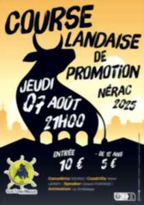 photo Course landaise