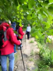 Fête de la Nature : Randonnée à la découverte du site Natura 2000 de la Gélise