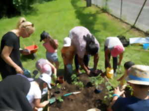 Atelier de jardinage intergénérationnel