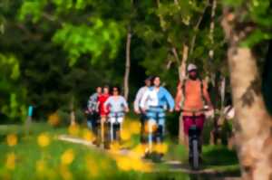 photo Balade en trottinette électrique à Magné