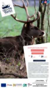 Exposition Photo : Observons la nature de Bernard Duchateau