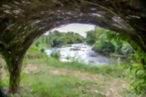 photo Balade nature en bords de Vienne