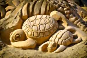 Fresque dans le sable par sym'Art