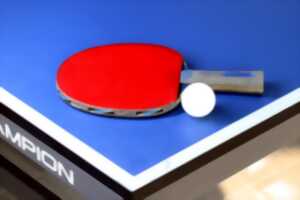 photo Animation Tennis de Table