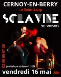 photo Concert-repas avec le duo 