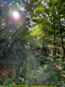 photo Course nature des 7 clochers