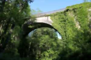 photo Balade sur les berges de l'Isle