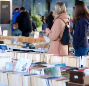 photo Festi'livre