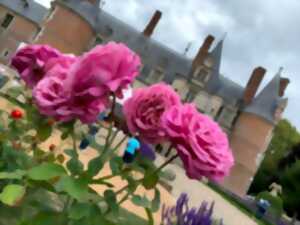 Les Roses Royales