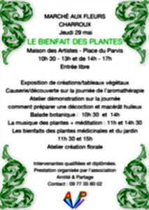 Marché aux fleurs