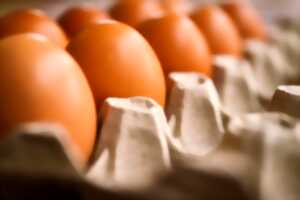 Collecte nationale banque alimentaire