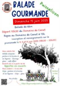 photo BALADE GOURMANDE DU FOYER RURAL DE PUISSALICON - 2E ÉDITIO,