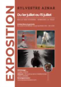 photo VERNISSAGE SYLVESTRE AZNAR
