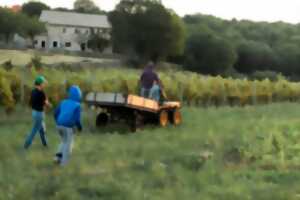 photo TRAJECTOIRES GITANES DANS L’AGRICULTURE, MÉMOIRES ET TRANSMISSIONS FAMILIALES