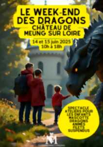 photo Un château tout feu tout flamme - le weekend des dragons !