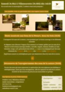 photo SIESTE MUSICALE ET DÉCOUVERTE DE L'ENREGISTREMENT DES SONS DE LA NATURE