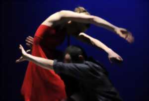 photo Danse : Cie Adéquate 