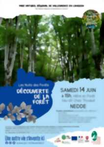 photo Les Nuits des Forêts : Découverte de la forêt