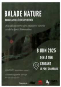 photo Balade nature dans la Vallée des Peintres