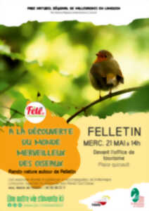 photo Fête de l'écotourisme :  Rando nature 