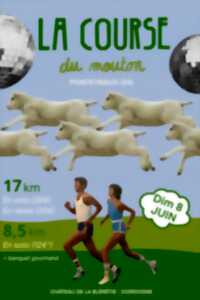 photo La course du mouton