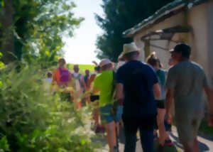 photo Promenade 