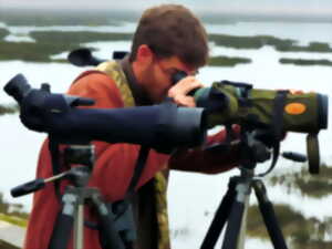 photo 48h Nature : l'odyssée des oiseaux migrateurs