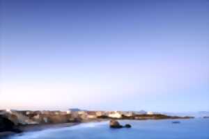 photo Visite Flash : Lecture de paysage depuis le plateau du Phare