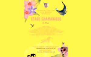photo Stage chamanique