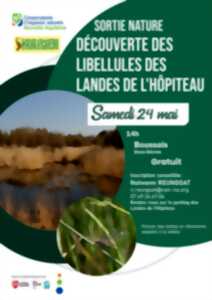 photo Sortie nature : découverte des libellules des Landes de l'Hôpiteau