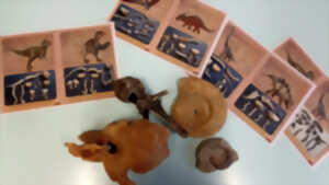 Le secret des dinosaures - Atelier scientifique