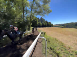photo Dans la peau d'un jockey