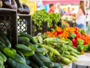 photo MARCHÉ LES ARGONAUTES