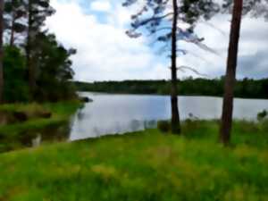 photo Animation nature au grand étang de la Jemaye -  Jeu de piste nature