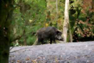 photo Repas de chasse
