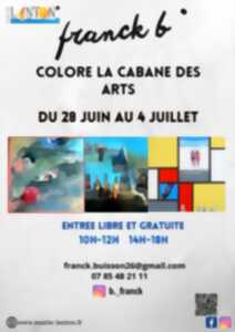 photo Exposition Cabane des Arts : Franck B