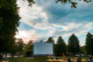 photo Cinéma plein air à Niort