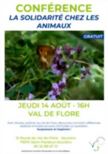 photo Val de Flore : Conférence 