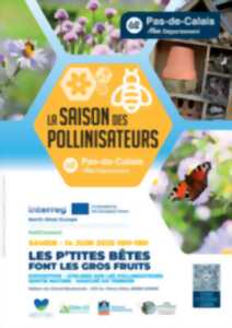 photo La Saison des Pollinisateurs