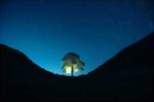 photo FÊTE DE LA NATURE: LUMIÈRE SUR L'OBSCURITÉ : ENJEUX ET IMPACTS DE LA POLLUTION LUMINEUSE