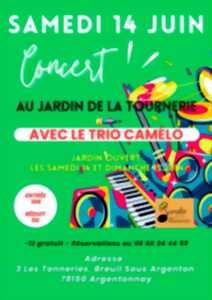photo Concert - Le Trio Camélo