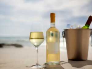 photo Atelier vins blancs d'Eté