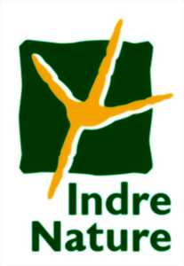 Sortie nature : L'Oedicnème criard