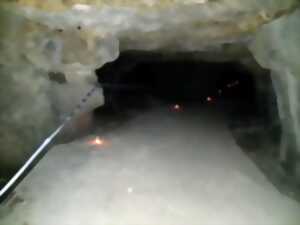 photo Le monde fascinant des chauves-souris