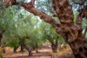 photo FÊTE DE LA NATURE: VISITE GOURMANDE AU COEUR DES OLIVETTES