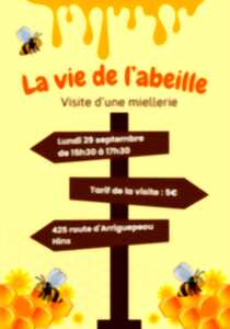 photo La vie de l'abeille - visite d'une miellerie