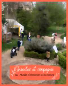 photo Insectes et compagnie
