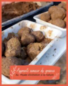 photo Apprenti semeur de graines